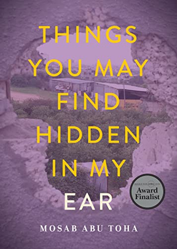 Book cover showing a landscape through a jagged hole in a purple concrete wall.