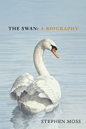 Book cover featuring a painting of a white swan on water.