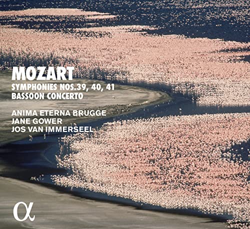 Mozart / Brugge - Mozart: Symphonies And Bassoon Concerto [CD]