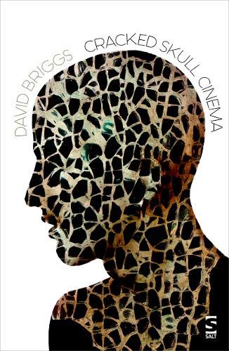 Book cover: cracked skull silhouette filled with mosaic-like faces.