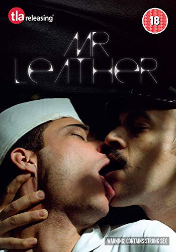 DVD cover for "Mr. Leather" depicting two men kissing intimately.