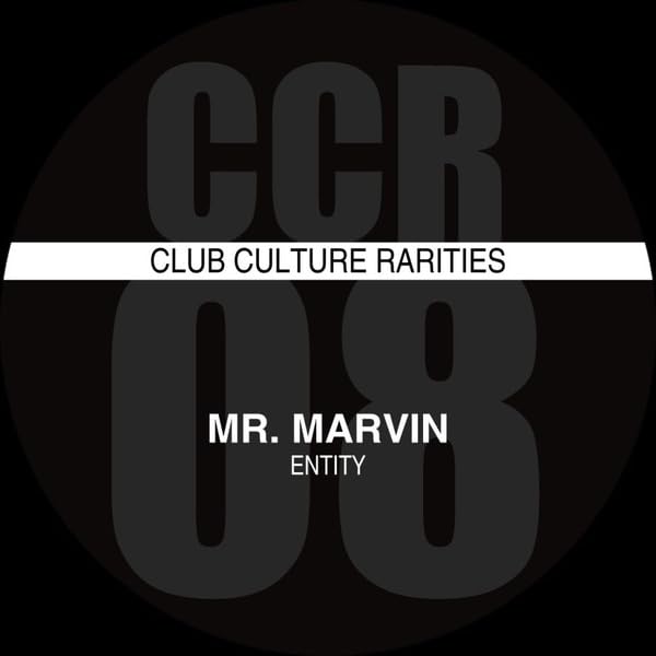 Black vinyl record cover with white and gray text: “Mr. Marvin - Entity”.