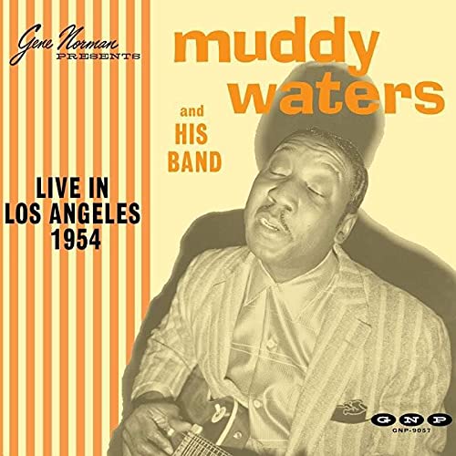 Album cover featuring Muddy Waters playing guitar with yellow and orange striped background.