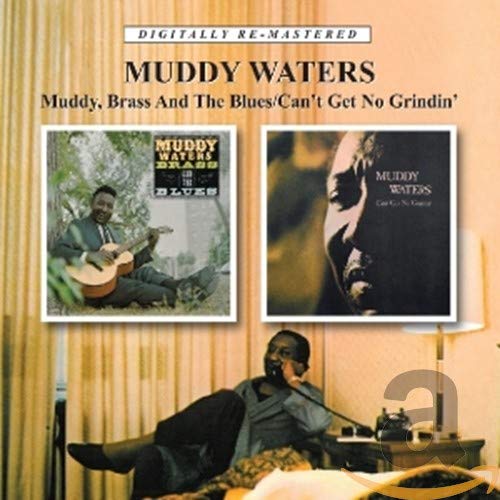 CD case featuring Muddy Waters album cover, likely blues imagery.