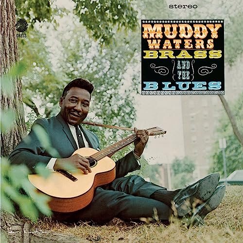 Muddy Waters with guitar on album cover, trees and text visible.