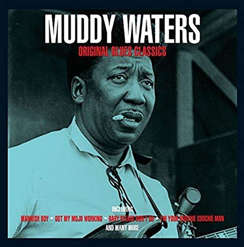 Muddy Waters portrait on a vinyl record album cover, blues music.