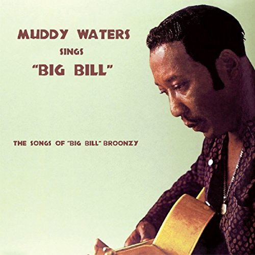 Muddy Waters album cover featuring a portrait with acoustic guitar.
