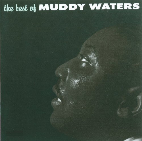 Album cover featuring a profile portrait of Muddy Waters against a dark background.