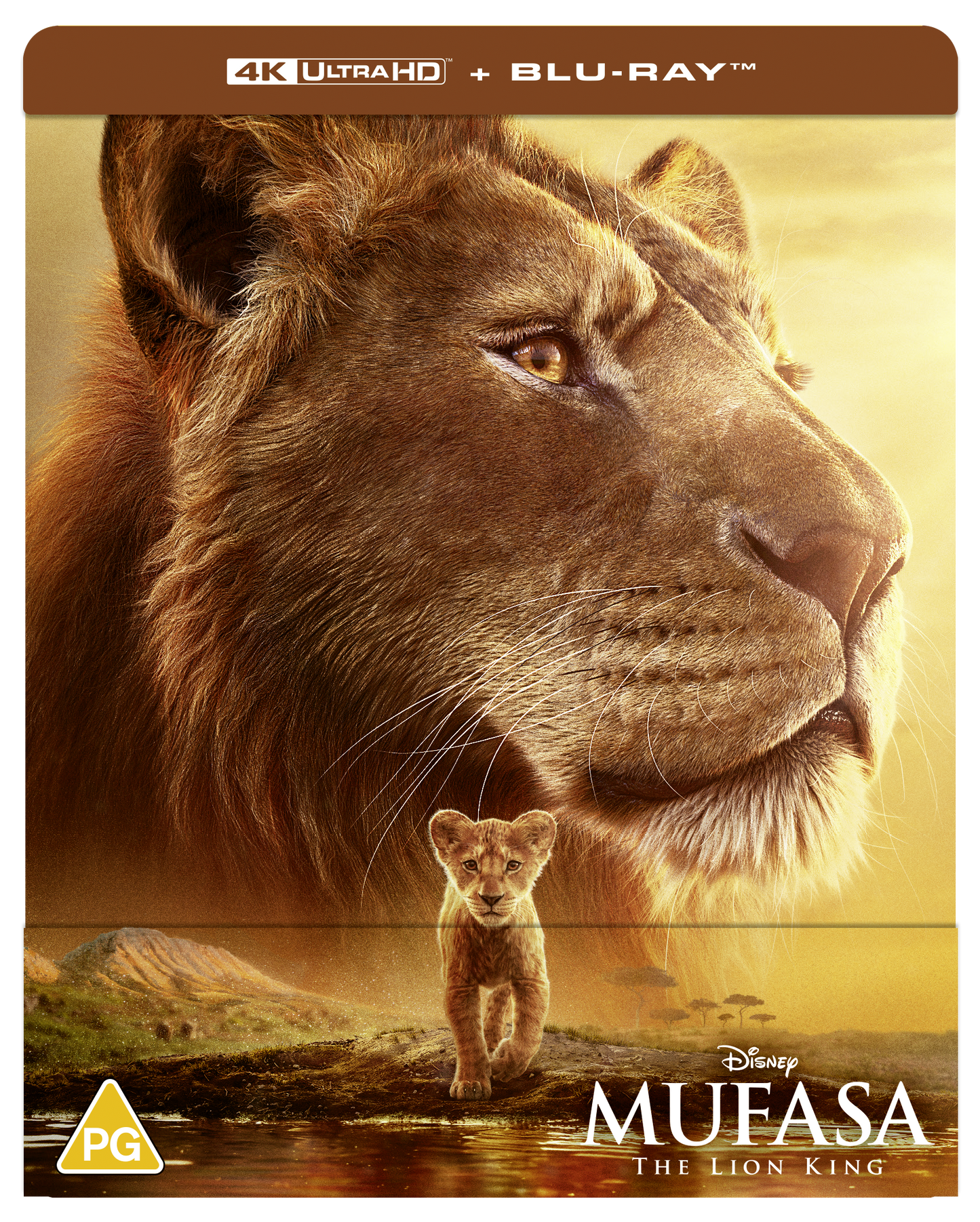 Close-up of an adult lion with a lion cub walking in the foreground.