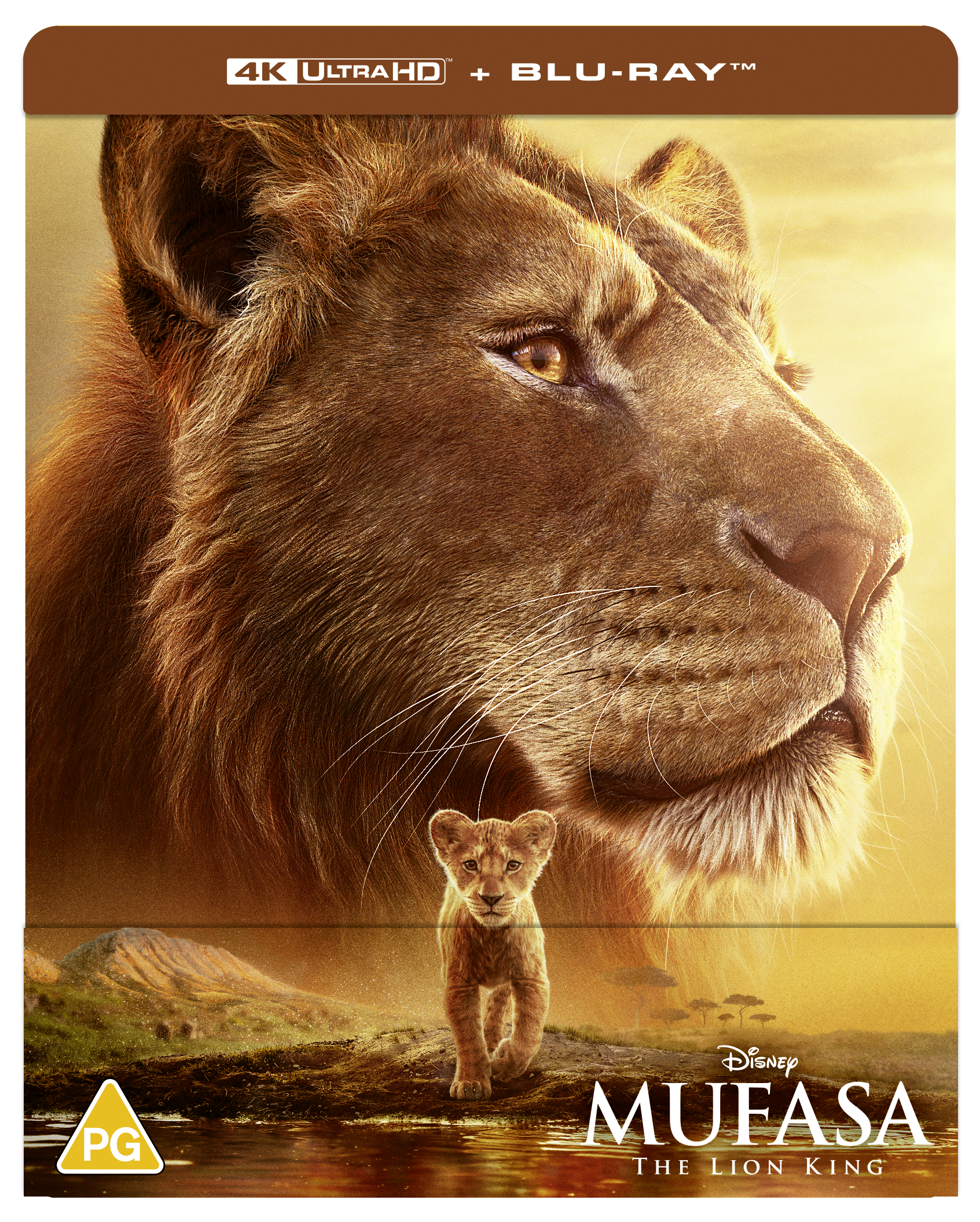 Close-up of an adult lion with a lion cub walking in the foreground.