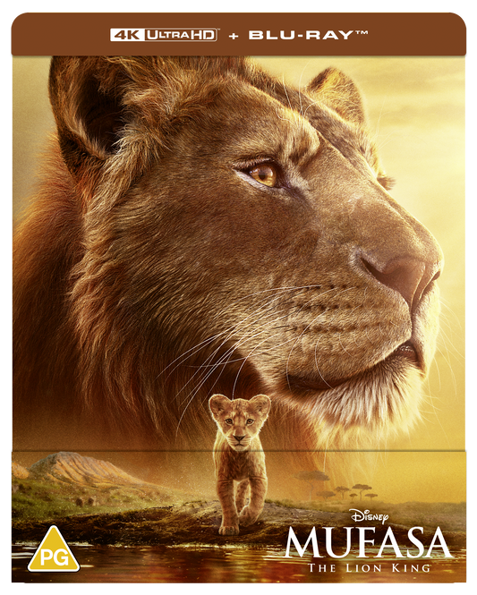 Close-up of an adult lion with a lion cub walking in the foreground.