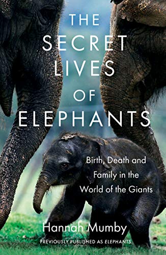 A baby elephant walks between the legs of two adult elephants on a book cover.