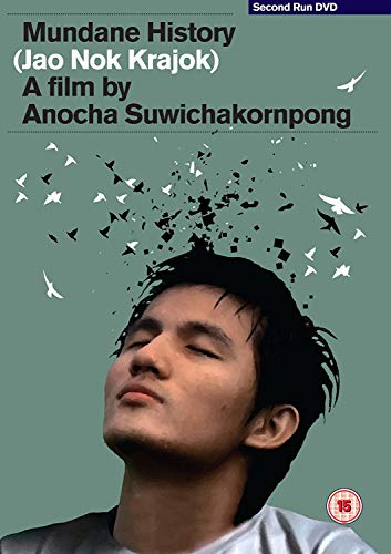 DVD cover for "Mundane History" featuring a man with birds flying from his head.