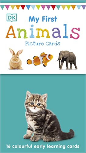 Animal picture cards featuring a rabbit, clownfish, elephant, and kitten.