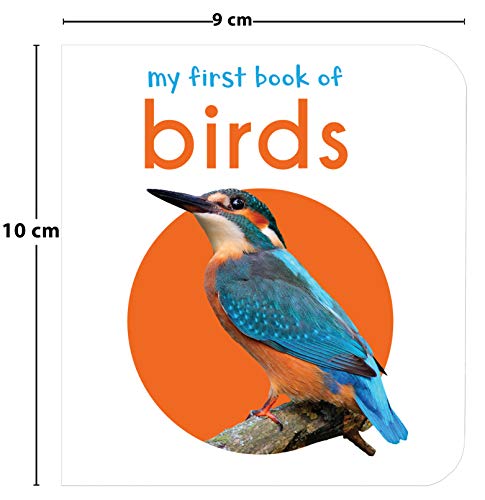 Board book cover with a kingfisher and orange circle, 9x10 cm.