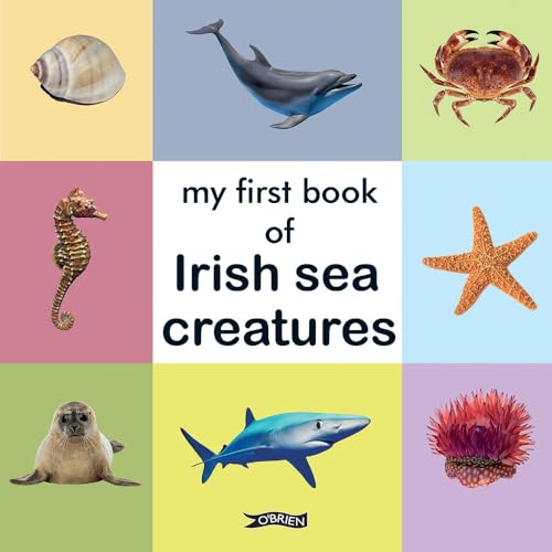 Book cover with colorful squares displaying Irish sea creatures.
