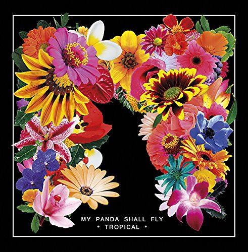 "Colorful tropical flowers arranged in a circular pattern on a black vinyl record cover."