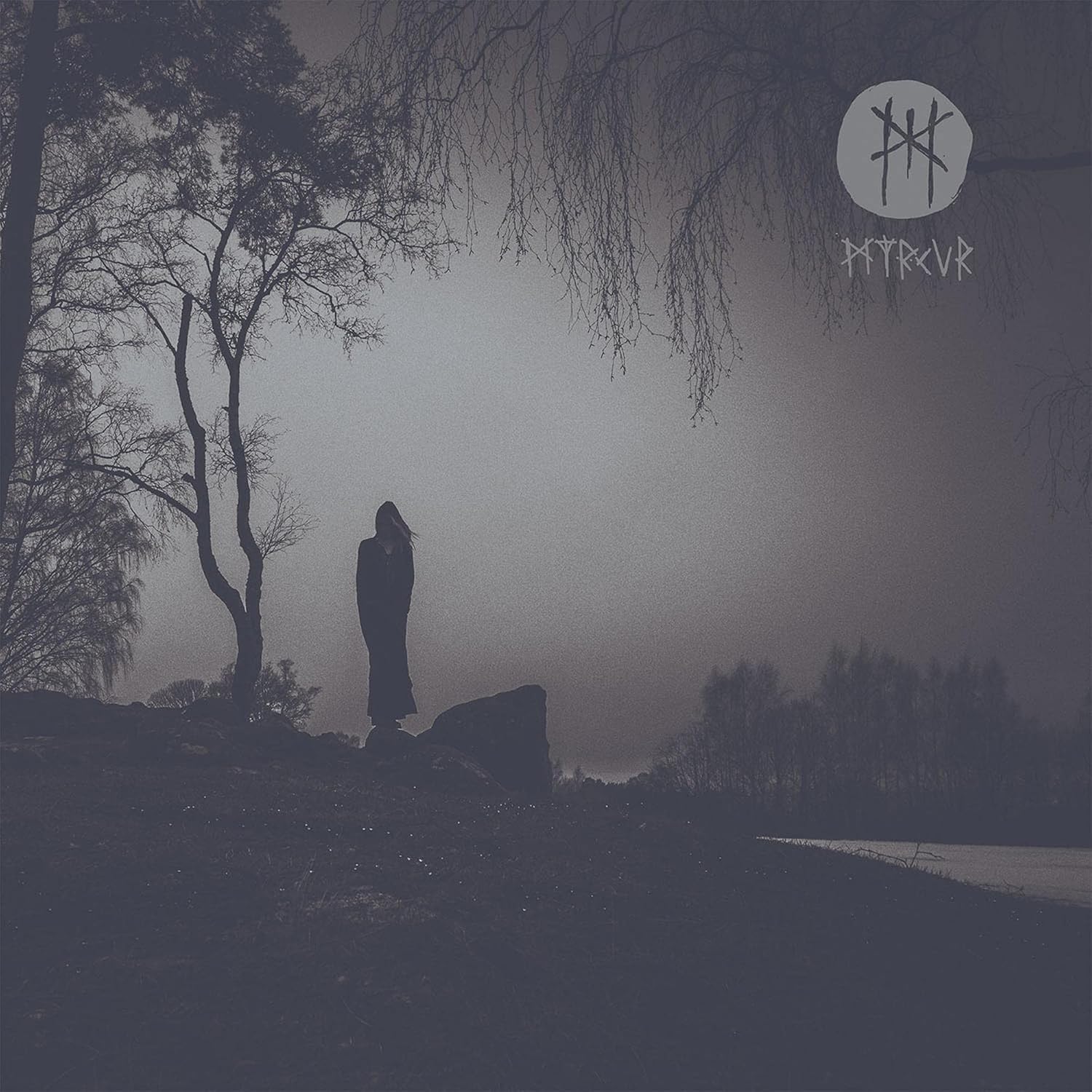 Dark album cover with a lone figure under bare trees and fog.