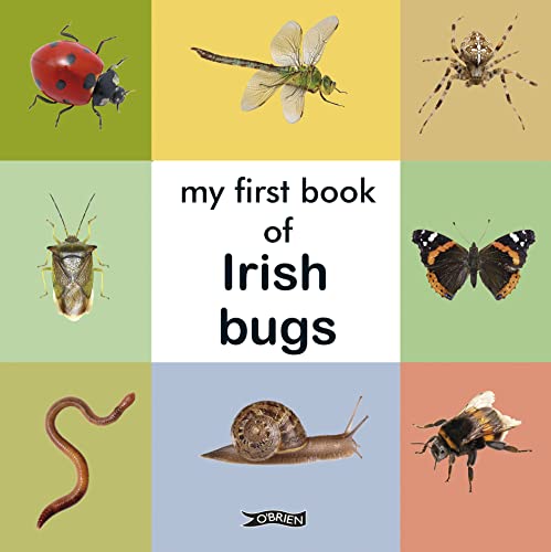 Book cover featuring colorful images of Irish insects and bugs.