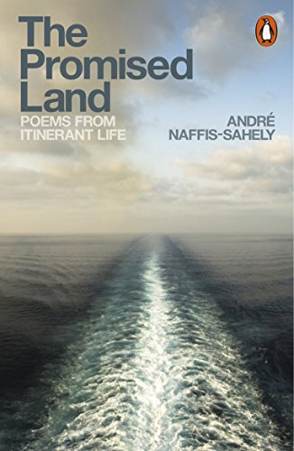 Book cover with stormy seascape and white text: “The Promised Land.”