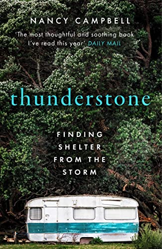 Book cover: “thunderstone” title over a caravan in lush greenery.