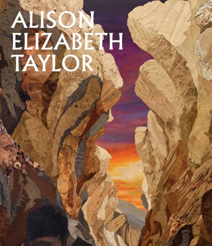 Book cover featuring textured, layered artwork of canyon walls and sunset.