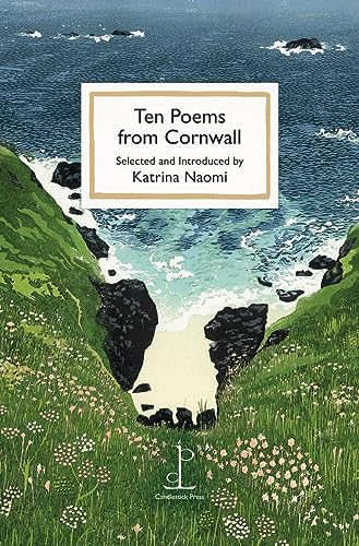 Book cover showing a coastal landscape with green cliffs, a sandy cove, and ocean.