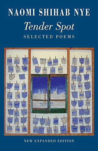Book cover titled Tender Spot by Naomi Shihab Nye featuring blue papers hung on lines.