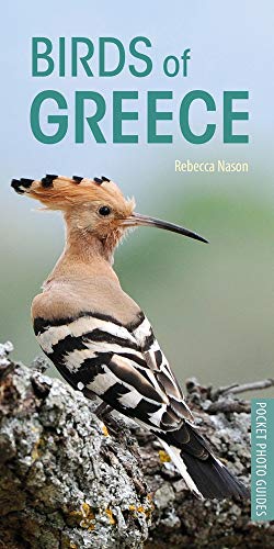 Book cover featuring a hoopoe bird perched on a branch against a blurred background.