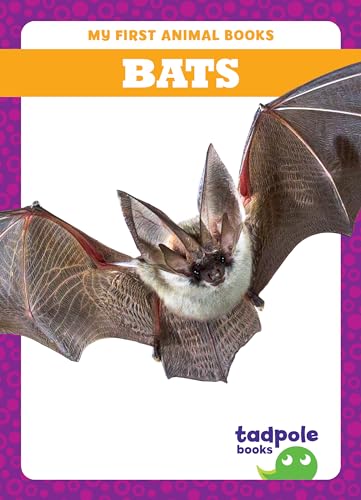 Book cover featuring a brown bat with wings spread, titled "Bats".