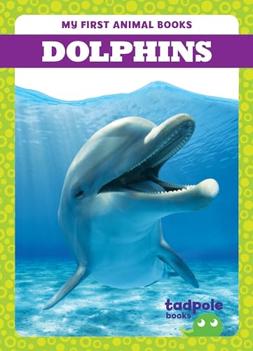 Book cover featuring a smiling dolphin swimming underwater.