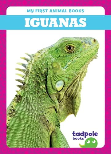 Close-up of a green iguana’s head and neck on a book cover.