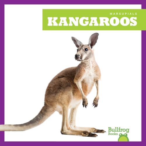 Kangaroo standing with head facing left, book cover titled "Kangaroos".