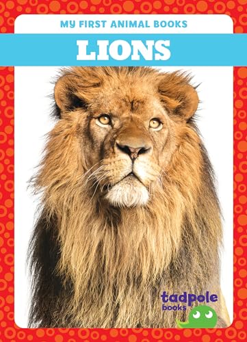 Book cover featuring a close-up portrait of a male lion’s face.