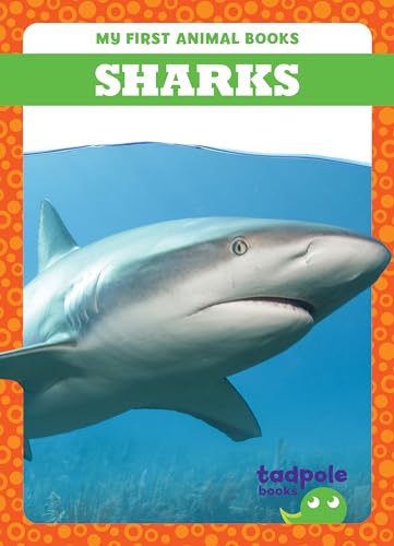 Book cover featuring a large, grey shark swimming underwater.