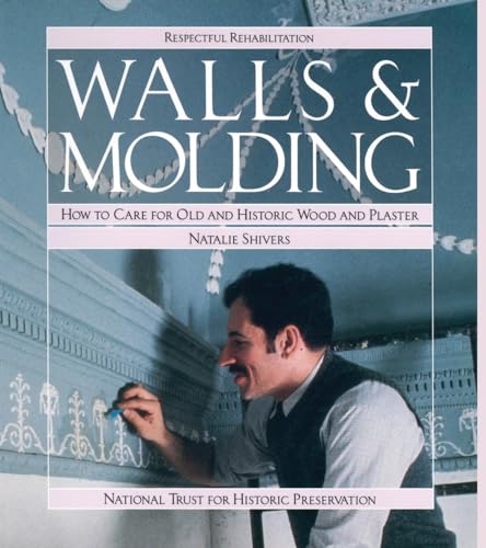 Book cover featuring a man restoring decorative molding on a pale blue wall.