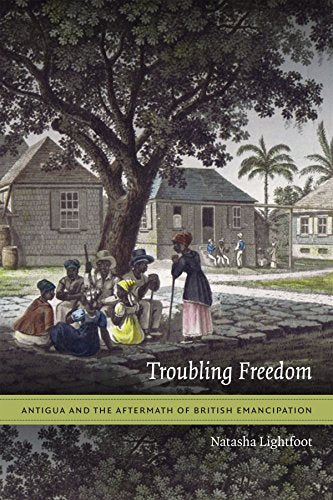 Book cover depicting formerly enslaved people in Antigua, with title text.