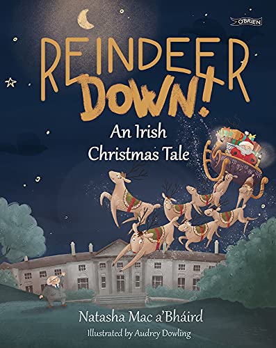 Book cover: reindeer falling from Santa’s sleigh over an Irish town.