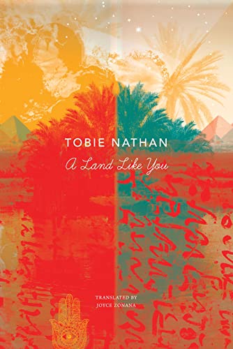 Book cover with pyramids, palm trees, and colorful abstract patterns.