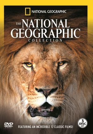 DVD cover featuring a close-up portrait of a male lion’s face.