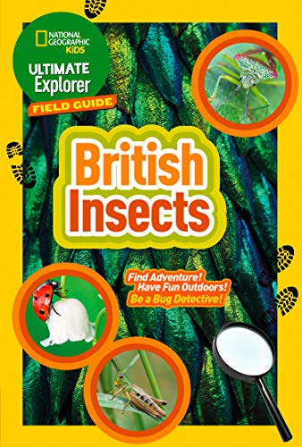 Book cover featuring British insects, a ladybug, and a magnifying glass.