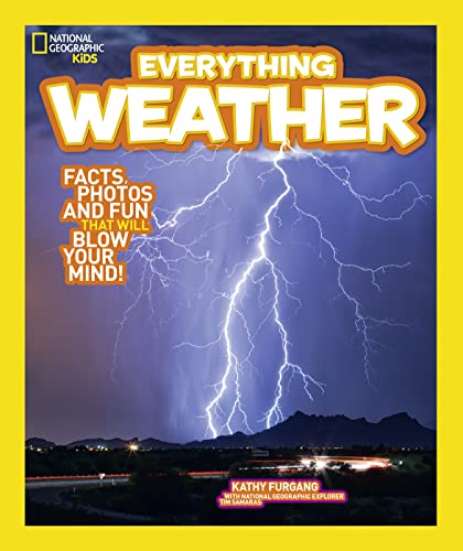 Book cover titled Everything Weather featuring a bright lightning bolt over a dark landscape.