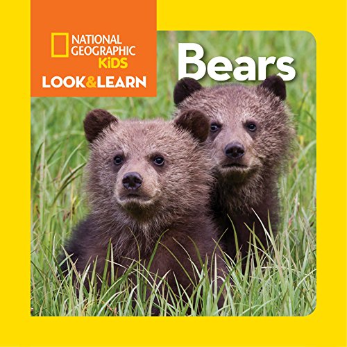 Colourful children's book with bear images and educational content on various pages.