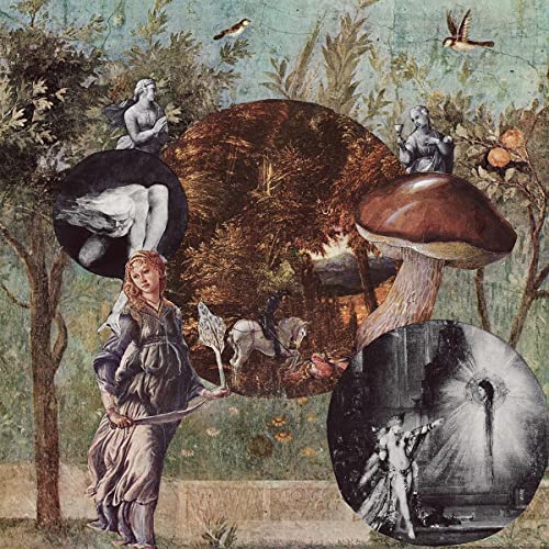 Surreal collage featuring classical figures, a large mushroom, and a forest scene in nature.