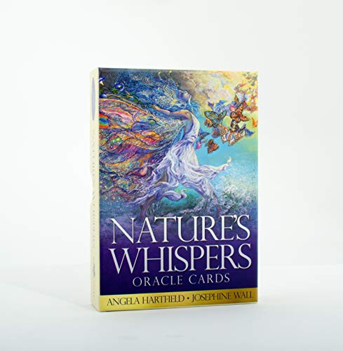 Oracle card box with colorful illustration of a figure and butterflies.
