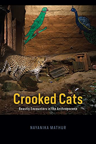 Book cover: leopard, peacock, parrot, and text "Crooked Cats.