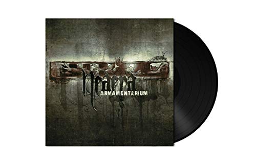 Vinyl record sleeve with dark, grungy artwork and black vinyl partially visible.