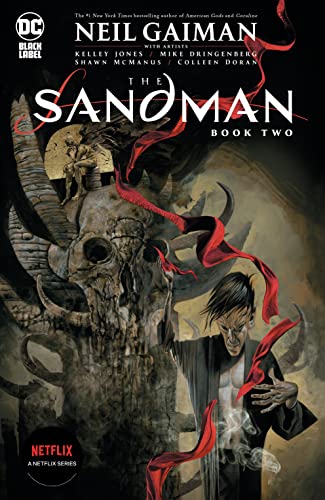 The Sandman Book Two cover art featuring a dark, surreal figure near a skull.