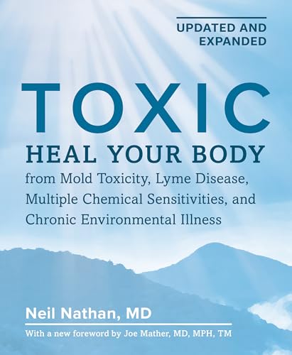 Book cover with blue tones, title "Toxic" and mountain landscape.