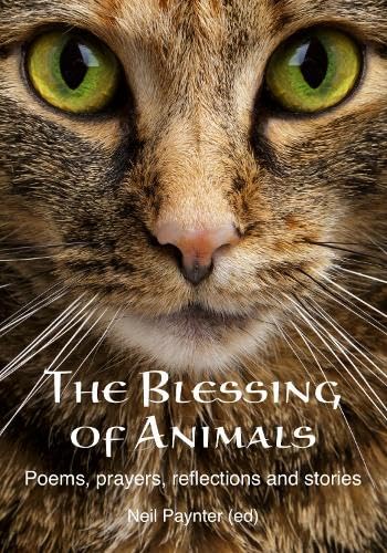 Close-up of a tabby cat’s face with book title overlayed.